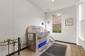 Dog spa & pet wash station